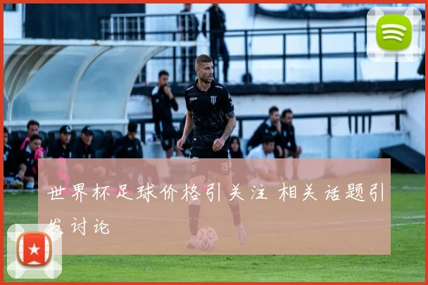 世界杯足球价格引关注 相关话题引发讨论