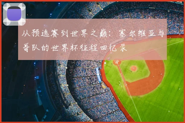 从预选赛到世界之巅：塞尔维亚与哥队的世界杯征程回忆录