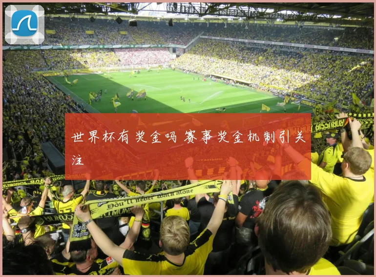 世界杯有奖金吗 赛事奖金机制引关注
