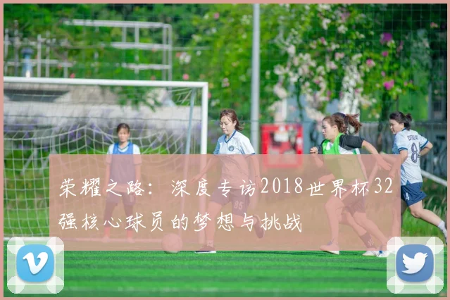 荣耀之路：深度专访2018世界杯32强核心球员的梦想与挑战