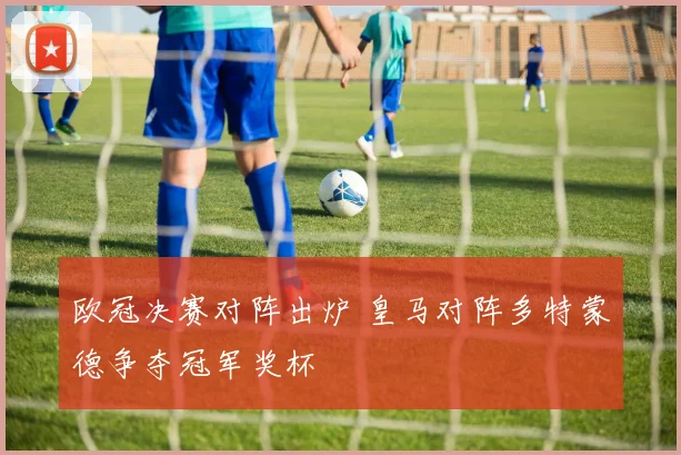 欧冠决赛对阵出炉 皇马对阵多特蒙德争夺冠军奖杯