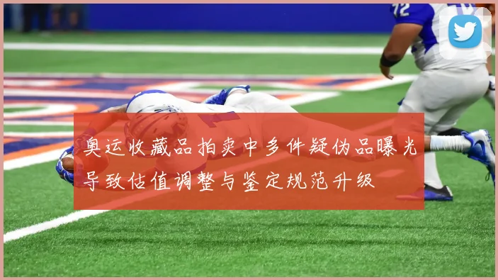 奥运收藏品拍卖中多件疑伪品曝光导致估值调整与鉴定规范升级