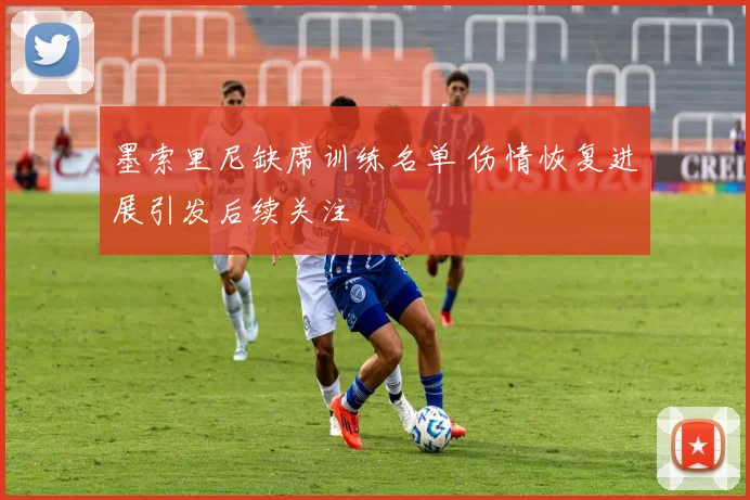 墨索里尼缺席训练名单 伤情恢复进展引发后续关注
