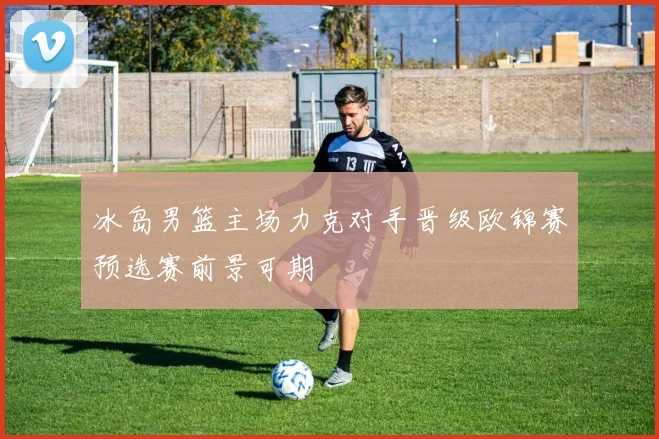 冰岛男篮主场力克对手晋级欧锦赛预选赛前景可期