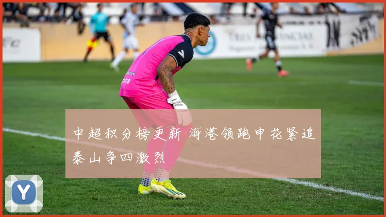 中超积分榜更新 海港领跑申花紧追泰山争四激烈