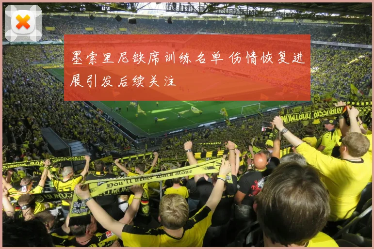 墨索里尼缺席训练名单 伤情恢复进展引发后续关注