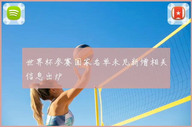 世界杯参赛国家名单未见新增相关信息出炉