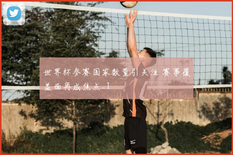 世界杯参赛国家数量引关注 赛事覆盖面再成焦点_1