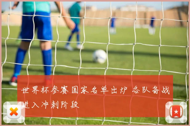 世界杯参赛国家名单出炉 各队备战进入冲刺阶段